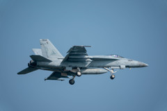 ＮＦも毎日元気