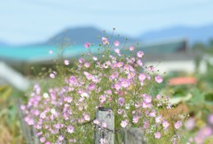 イカレタおっさんが