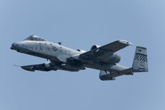 A10