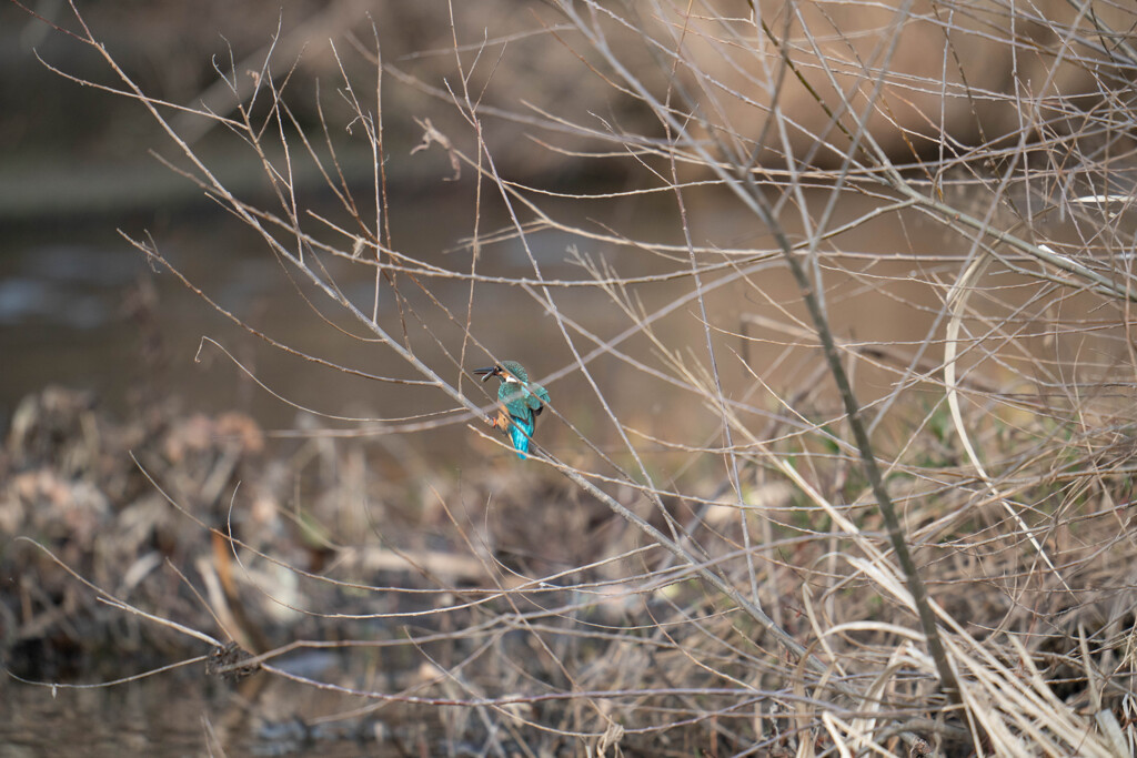 やっぱ・・えらいのか？？？