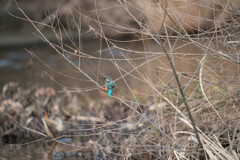 やっぱ・・えらいのか？？？