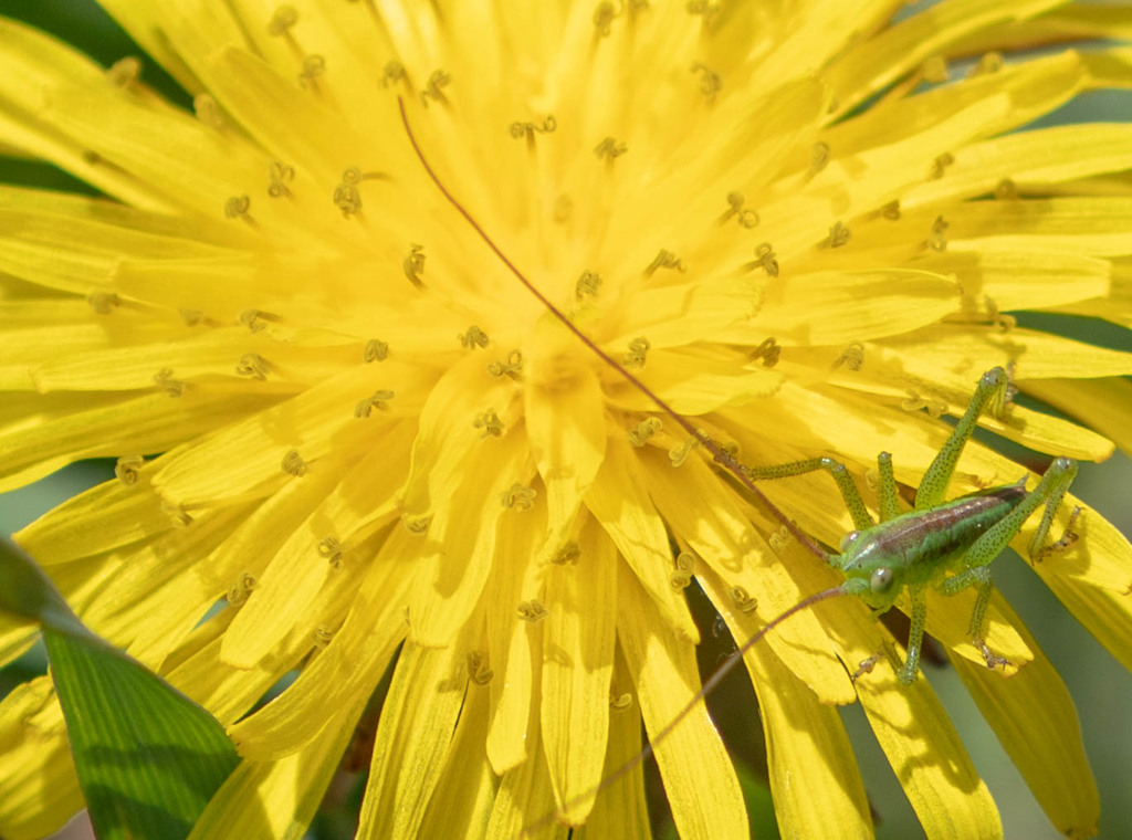 山頂にて、、、
