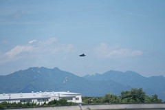 のどかで熱い一日