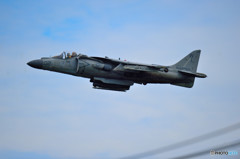 にゃん　＃０２