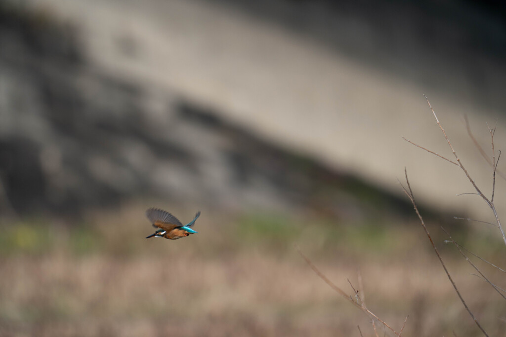 くそまぐれｗｗｗ