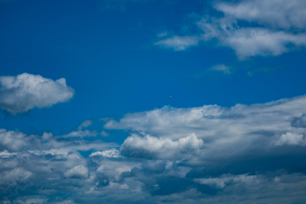 こんな日は広角が・・・