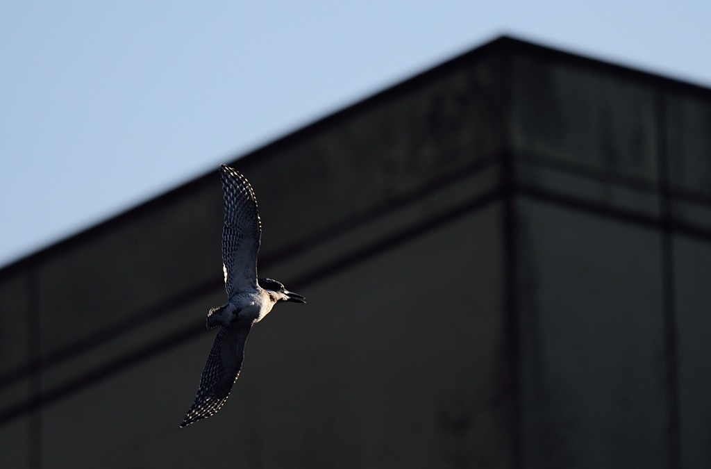 でたらめ設定ｗｗ