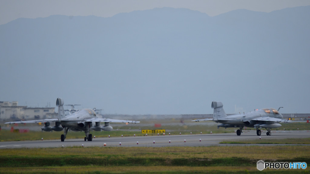 わんわんわんわん２