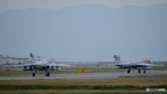 わんわんわんわん２