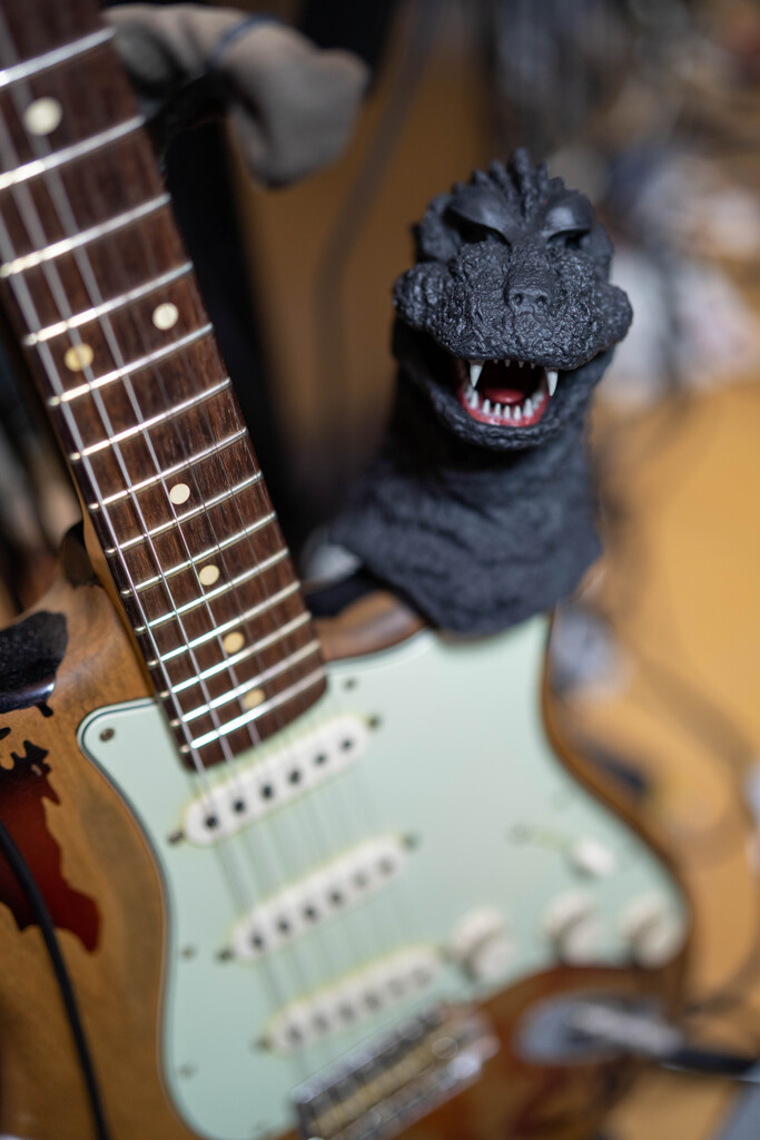 台風で、、、、