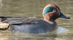 おもちゃ？？？