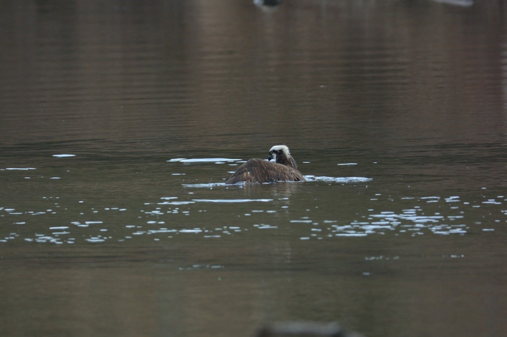のんびりと・・・・