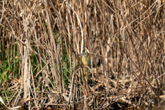 難儀な所へ・・・・