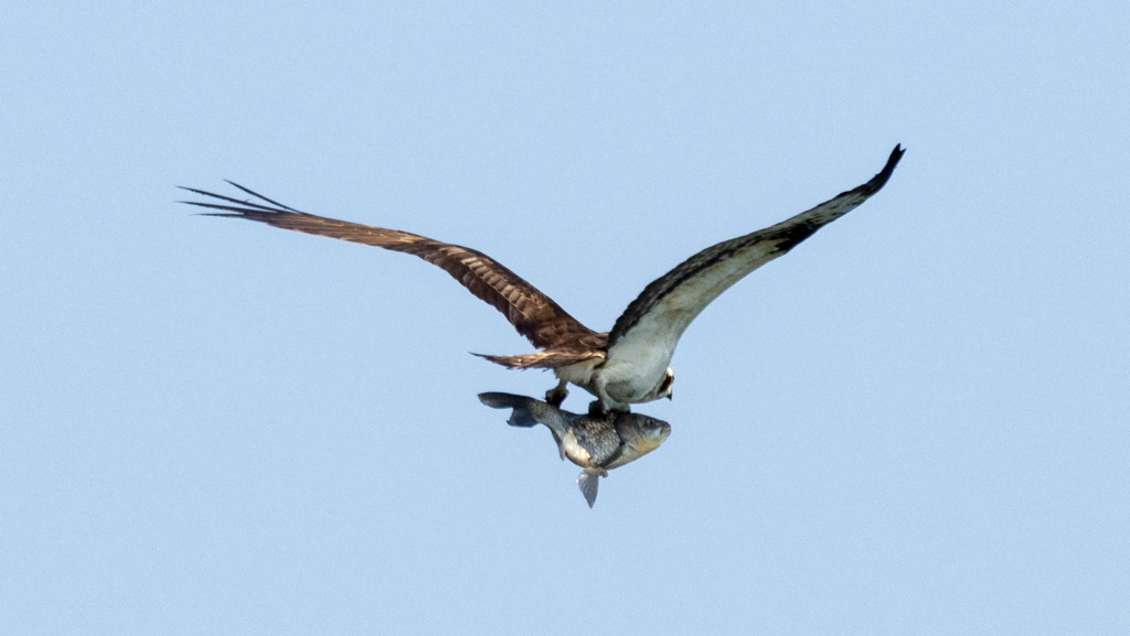 重量オーバー？？