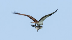 重量オーバー？？