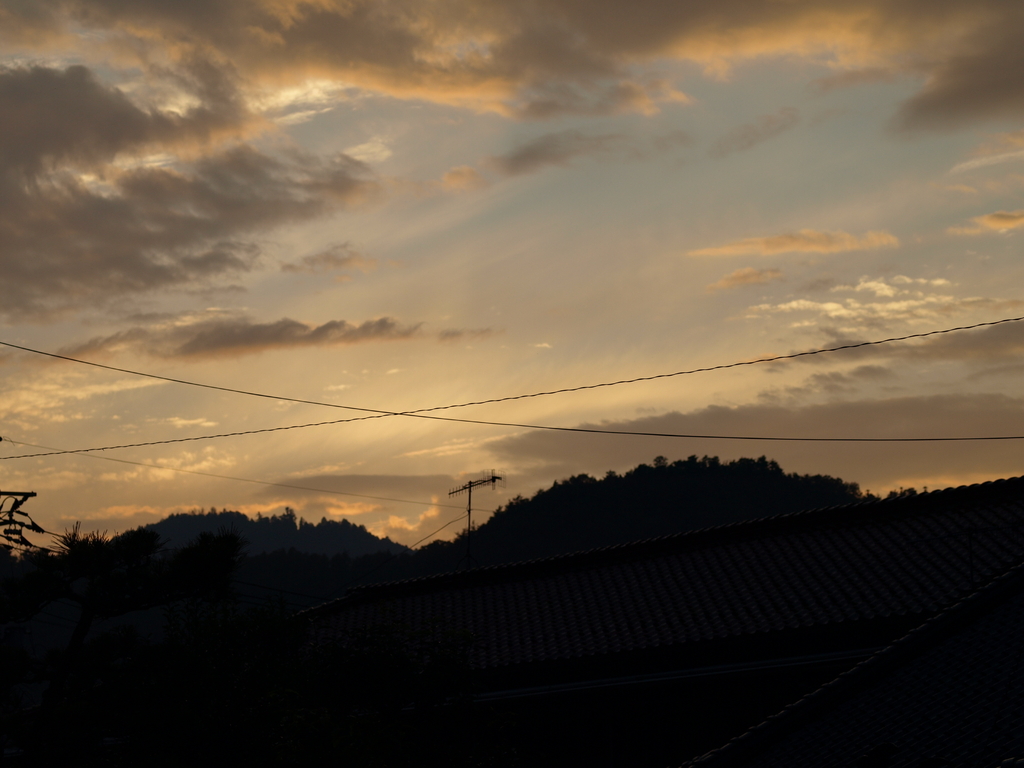 お散歩
