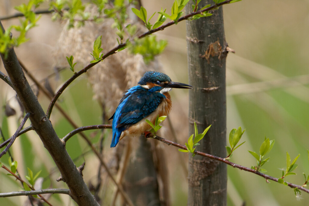 DSC06922_DxO