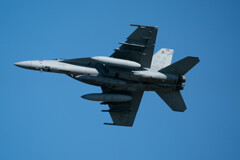 ベンガルは動かず、、