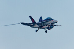 VMFA-232 RED DEVILS  WT #100