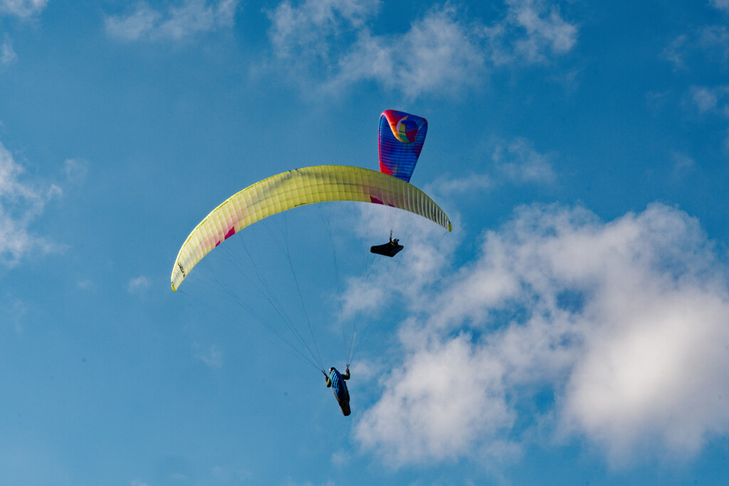 パラグライダー