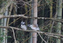 腹減って・・・・ｗｗｗ