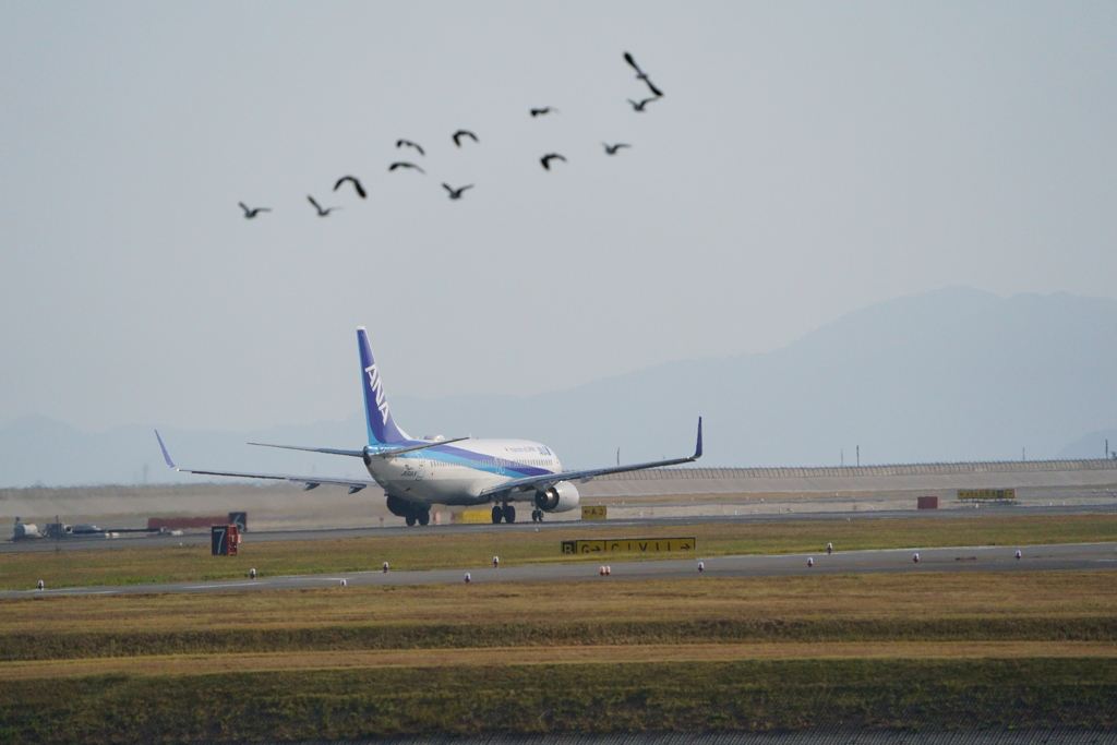気がします。。。
