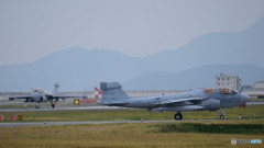 わんわんわんわん