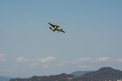 グルグルと、、、