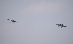 もっとくっつけ！！！！！