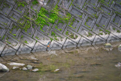 悪くはないけど、、、