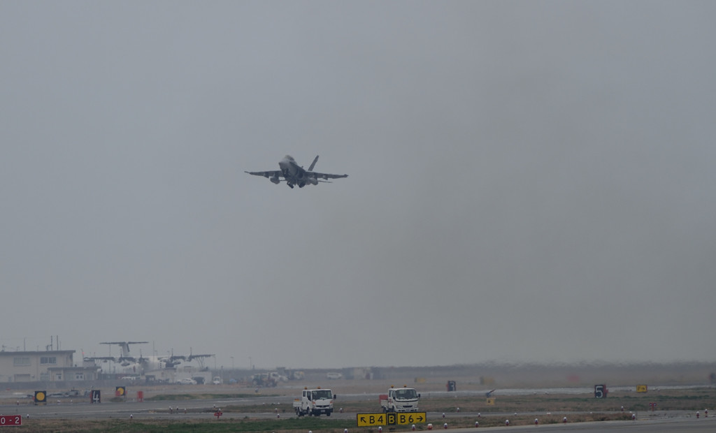 頑張れバイ菌ｗｗ