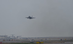 頑張れバイ菌ｗｗ