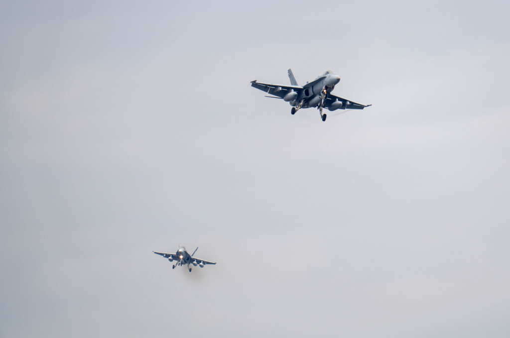 ベンガル＃０２　＃０８