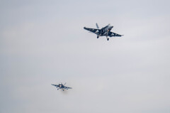 ベンガル＃０２　＃０８