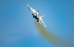 本気のＮＡＶＹ