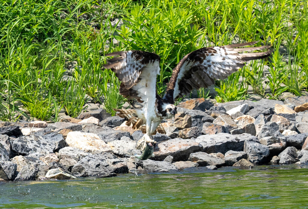 エンジェル・・・・違。。ｗ