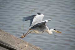 思った所に・・・