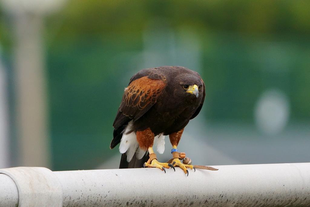 えーーーっと、、、