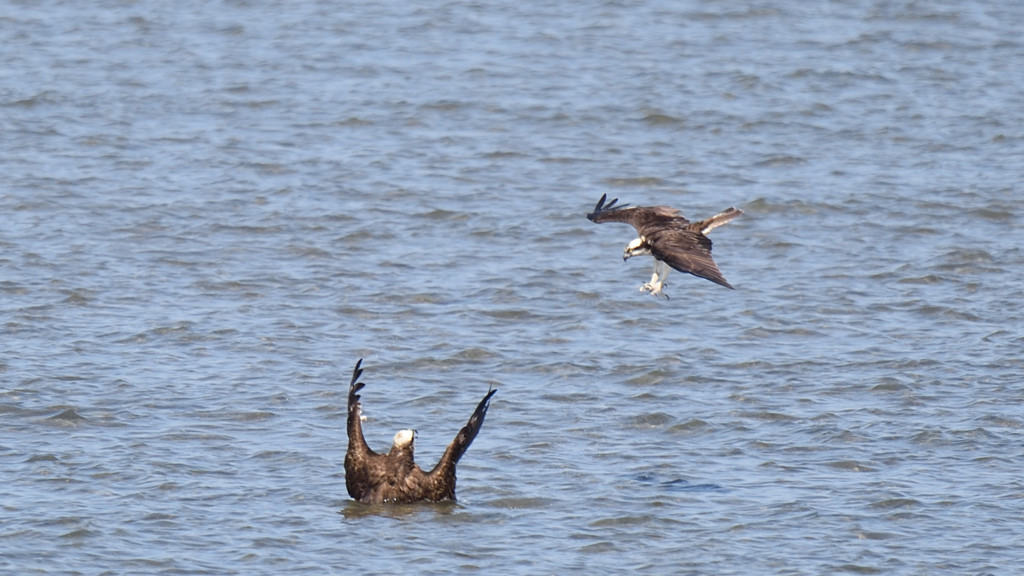 本気で攻撃開始？
