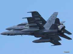 PB010065