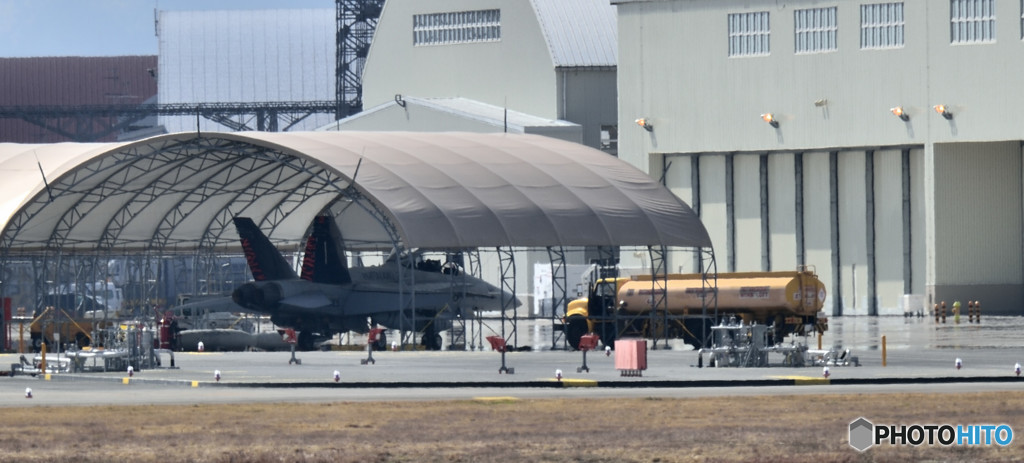 ベンガル　＃０１