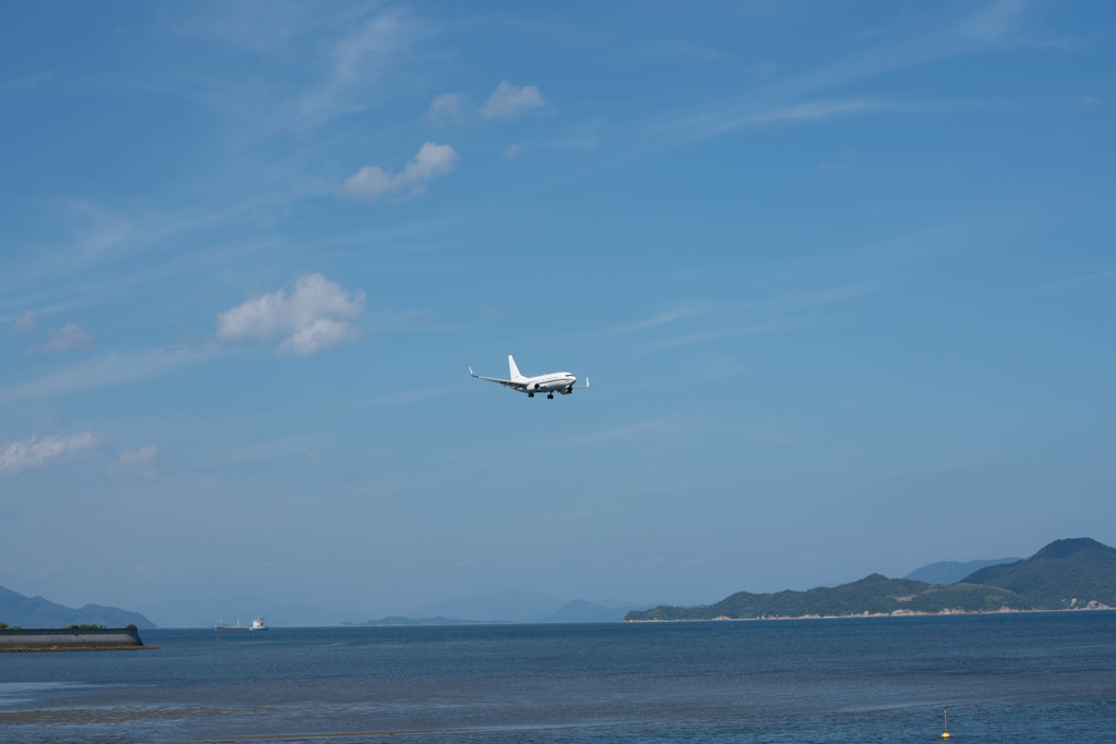 遊んでるのは、、、