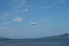 遊んでるのは、、、