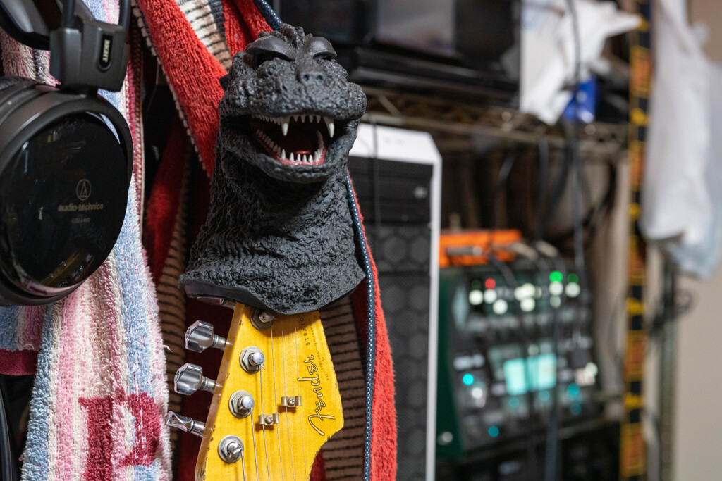 被り物じゃ・・・