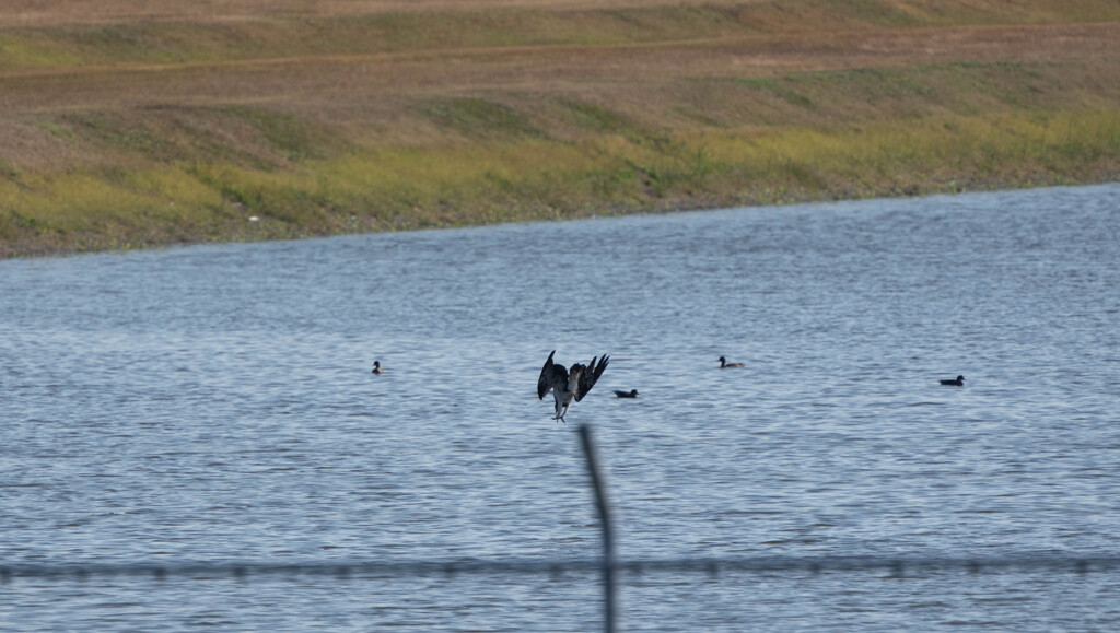 遠くで・・・・