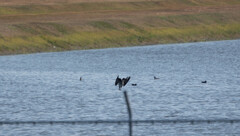 遠くで・・・・