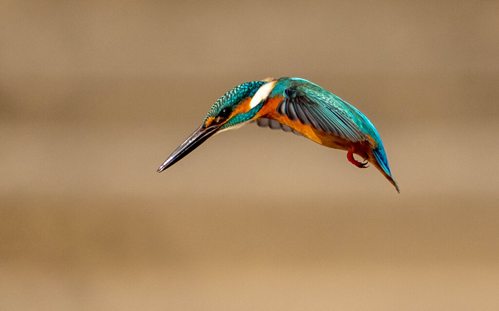 ホバからの・・・ちょっと待て？？