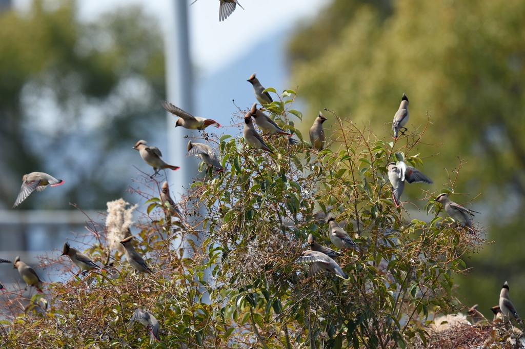おっさん・・・・