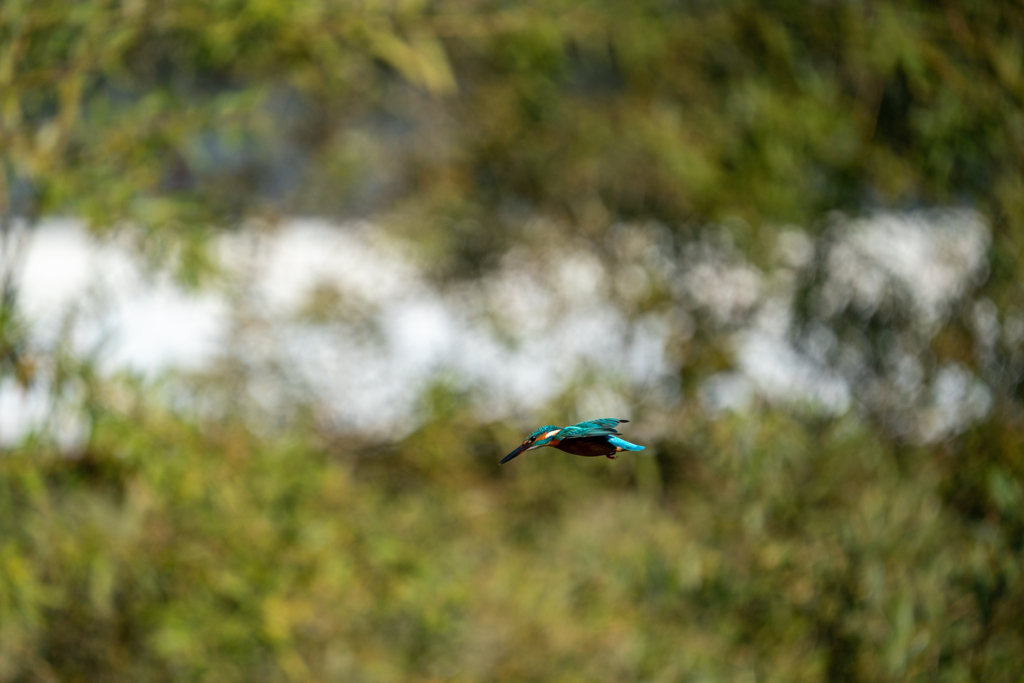 連写　ノートリ