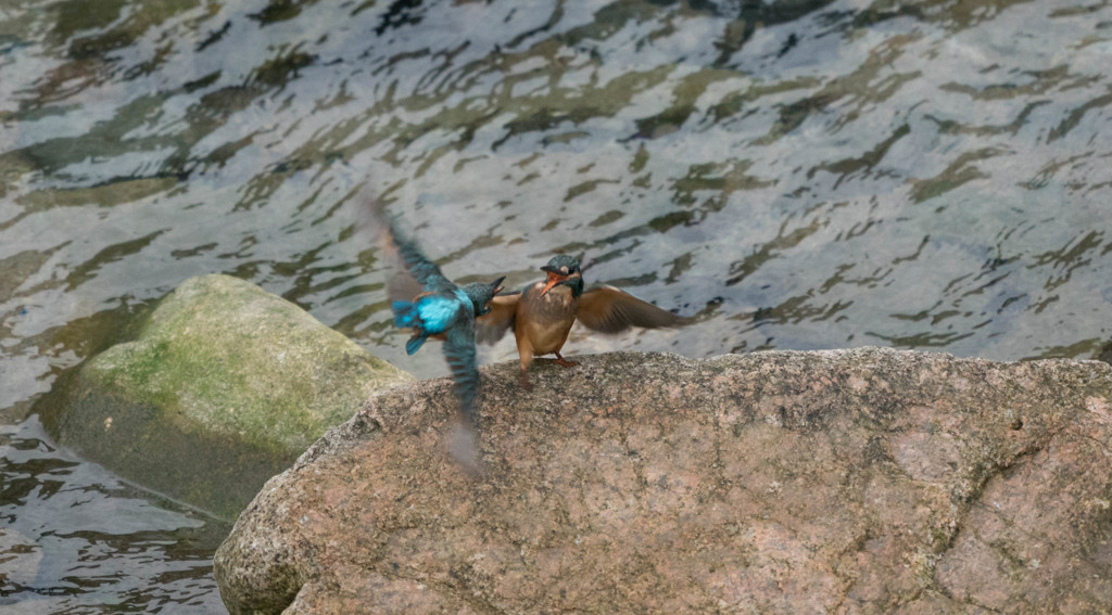 ベランダから・・・(;^_^A